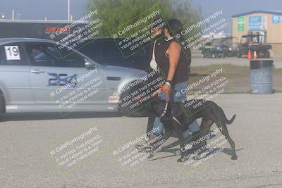 media/Nov-21-2025-Audi Club (Fri) [[8110d52e1e]]/Around the Pits/